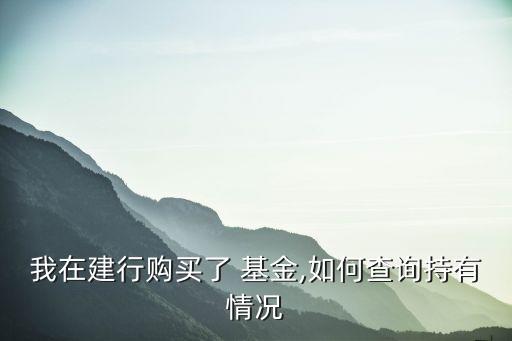 網絡游戲基金持倉