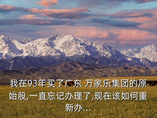 我在93年買(mǎi)了廣東 萬(wàn)家樂(lè)集團(tuán)的原始股,一直忘記辦理了,現(xiàn)在該如何重新辦...