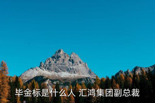 畢金標是什么人 匯鴻集團副總裁