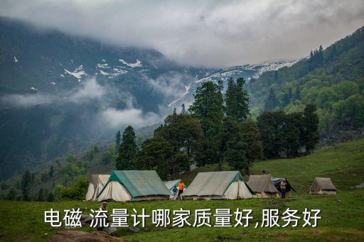 浙江永嘉科龍流量?jī)x表有限公司