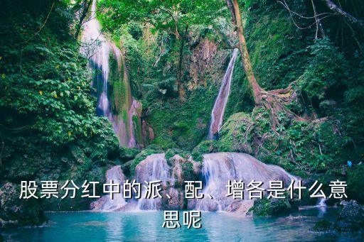  股票分紅中的派、配、增各是什么意思呢