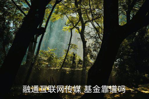 融通互聯網傳媒 基金靠譜嗎