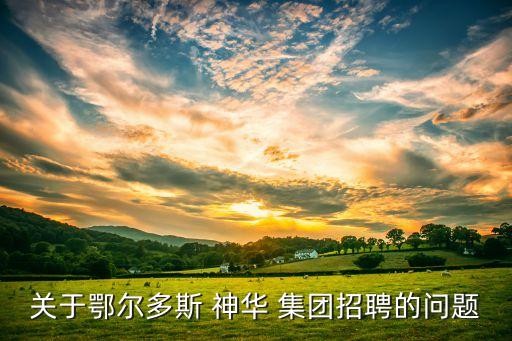 神華集團神東公司停薪留職