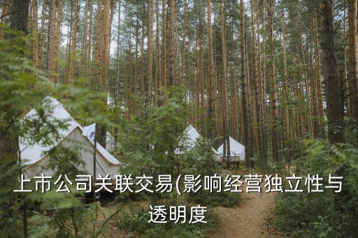 上市公司關(guān)聯(lián)交易(影響經(jīng)營獨(dú)立性與透明度