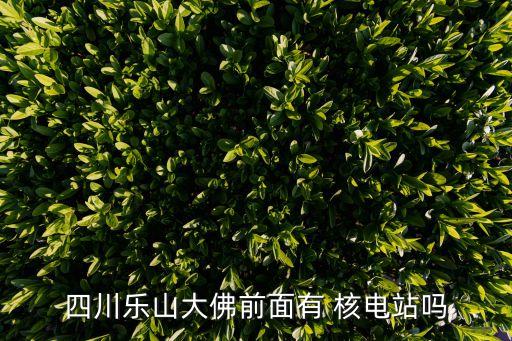 中國核能行業(yè)協會核電運行信息網,核能行業(yè)協會運行分會維修領域有哪些