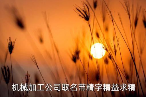 奇精機械股份有限公司董事長,寧?？h奇精機械股份有限公司