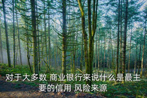 對于大多數 商業(yè)銀行來說什么是最主要的信用 風險來源
