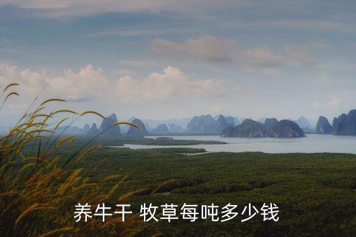 養(yǎng)牛干 牧草每噸多少錢(qián)