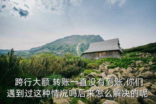  跨行大額 轉賬一直沒有到賬,你們遇到過這種情況嗎后來怎么解決的呢