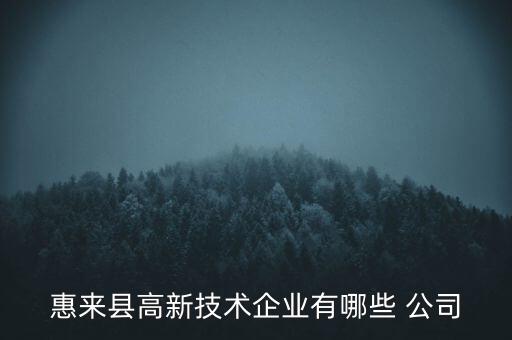 惠來縣高新技術企業(yè)有哪些 公司