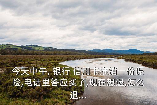 今天中午, 銀行 信用卡推銷一份保險(xiǎn),電話里答應(yīng)買(mǎi)了,現(xiàn)在想退,怎么退...