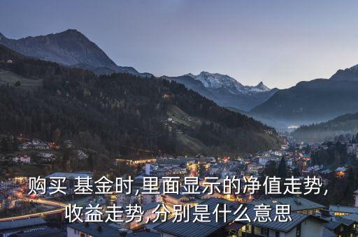 購(gòu)買 基金時(shí),里面顯示的凈值走勢(shì),收益走勢(shì),分別是什么意思