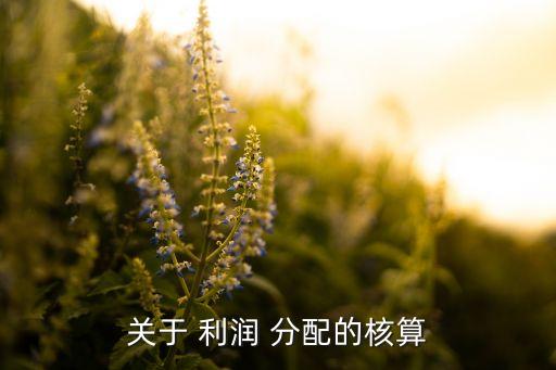 銀行利潤(rùn)分配報(bào)告,銀監(jiān)局對(duì)銀行利潤(rùn)分配的要求