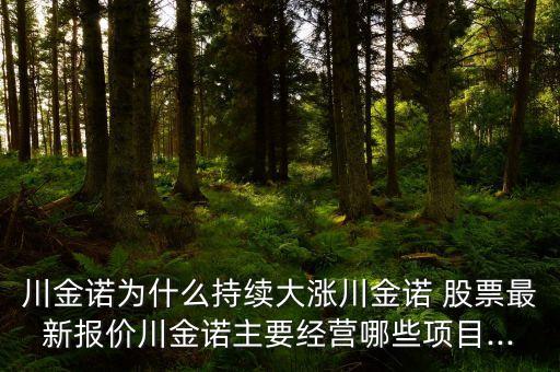 川金諾為什么持續(xù)大漲川金諾 股票最新報(bào)價(jià)川金諾主要經(jīng)營哪些項(xiàng)目...