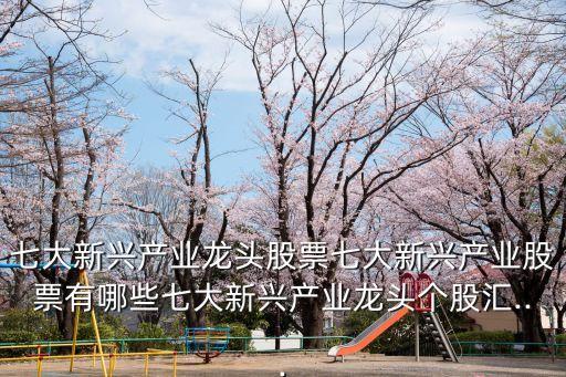 七大新興產(chǎn)業(yè)龍頭股票七大新興產(chǎn)業(yè)股票有哪些七大新興產(chǎn)業(yè)龍頭個股匯...