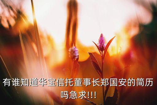有誰知道華寶信托董事長(zhǎng)鄭國(guó)安的簡(jiǎn)歷嗎急求!!!