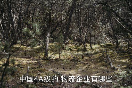 中國(guó)4A級(jí)的 物流企業(yè)有哪些