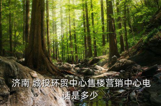  濟南 城投環(huán)貿中心售樓營銷中心電話是多少