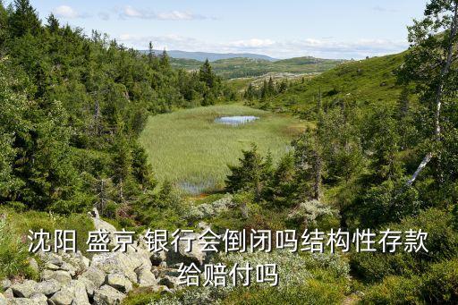 沈陽 盛京 銀行會(huì)倒閉嗎結(jié)構(gòu)性存款給賠付嗎
