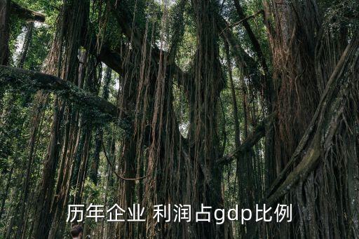 歷年企業(yè) 利潤(rùn)占gdp比例