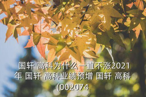  國軒 高科為什么一直不漲2021年 國軒 高科業(yè)績預(yù)增 國軒 高科(002074