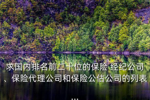 求國內(nèi)排名前二十位的保險(xiǎn) 經(jīng)紀(jì)公司、保險(xiǎn)代理公司和保險(xiǎn)公估公司的列表...