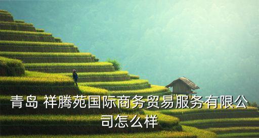 青島 祥騰苑國際商務貿易服務有限公司怎么樣