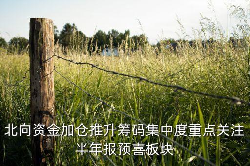 北向資金加倉推升籌碼集中度重點關注半年報預喜板塊