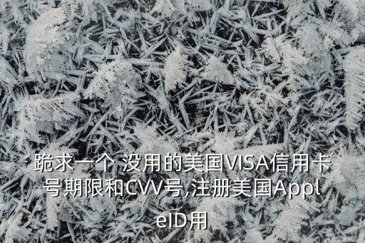 跪求一個(gè) 沒用的美國VISA信用卡號(hào)期限和CVV號(hào),注冊美國AppleID用