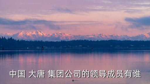 中國 大唐 集團公司的領(lǐng)導(dǎo)成員有誰