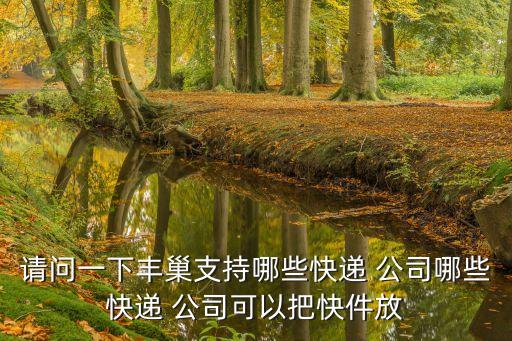 請(qǐng)問一下豐巢支持哪些快遞 公司哪些快遞 公司可以把快件放