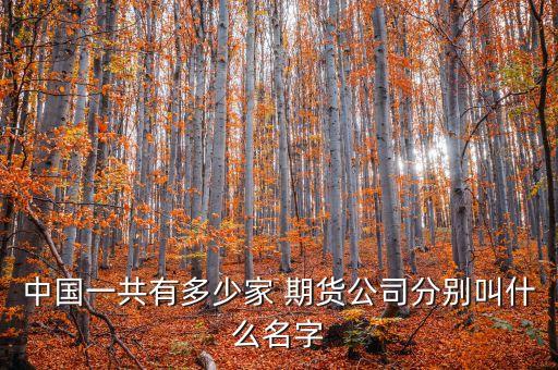 中國(guó)一共有多少家 期貨公司分別叫什么名字