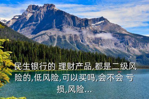  民生銀行的 理財(cái)產(chǎn)品,都是二級(jí)風(fēng)險(xiǎn)的,低風(fēng)險(xiǎn),可以買嗎,會(huì)不會(huì) 虧損,風(fēng)險(xiǎn)...