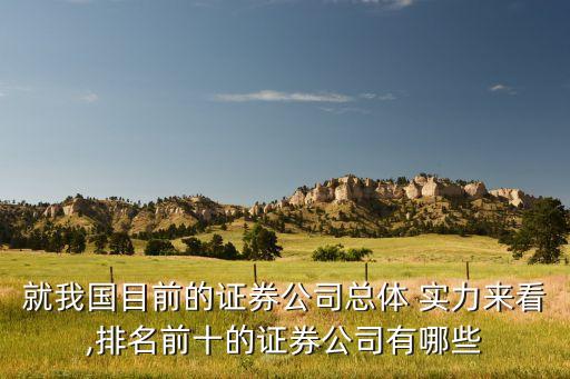 就我國(guó)目前的證券公司總體 實(shí)力來(lái)看,排名前十的證券公司有哪些