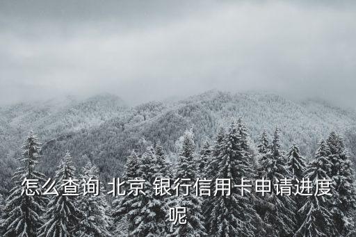 怎么查詢 北京 銀行信用卡申請進度呢