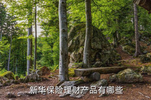  新華保險理財(cái)產(chǎn)品有哪些