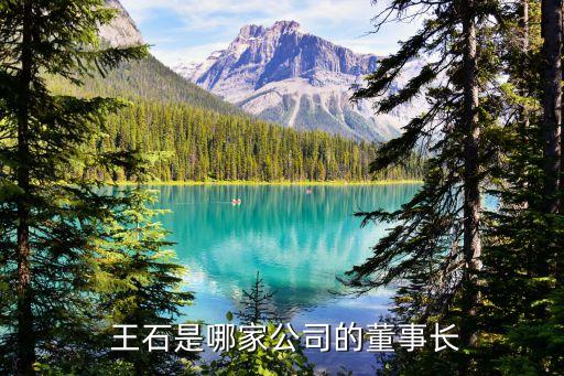 萬科集團(tuán)王石滑雪,原萬科集團(tuán)創(chuàng)始人王石
