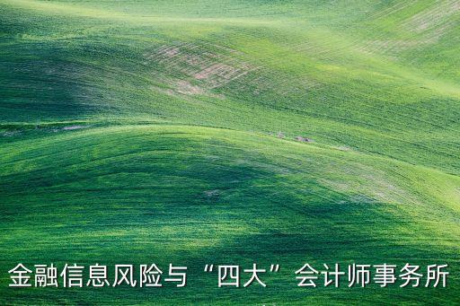 金融信息風(fēng)險(xiǎn)與“四大”會計(jì)師事務(wù)所