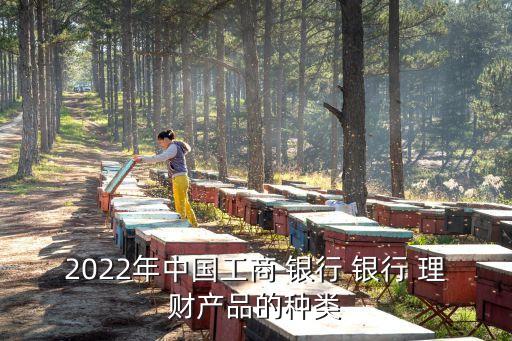 2022年中國工商 銀行 銀行 理財產品的種類