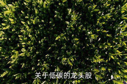 關于低碳的龍頭股