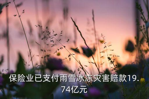 保險業(yè)已支付雨雪冰凍災(zāi)害賠款19.74億元