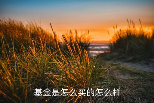  基金是怎么買(mǎi)的怎么樣