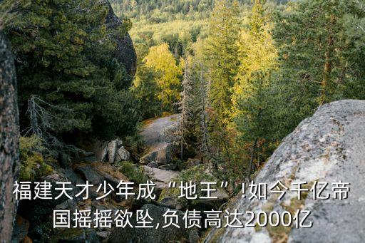 福建天才少年成“地王”!如今千億帝國搖搖欲墜,負債高達2000億
