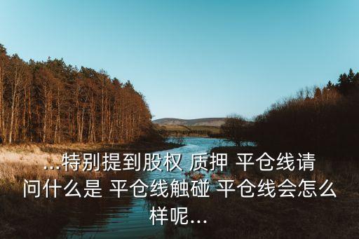 股票質押平倉線怎么算