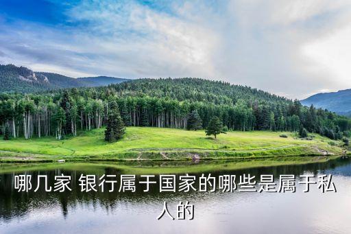 哪幾家 銀行屬于國(guó)家的哪些是屬于私人的