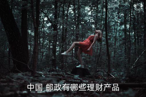 中國 郵政有哪些理財(cái)產(chǎn)品