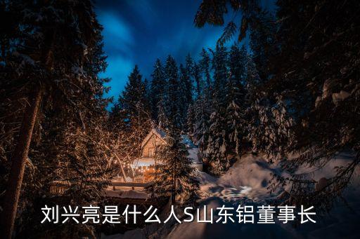 劉興亮是什么人S山東鋁董事長