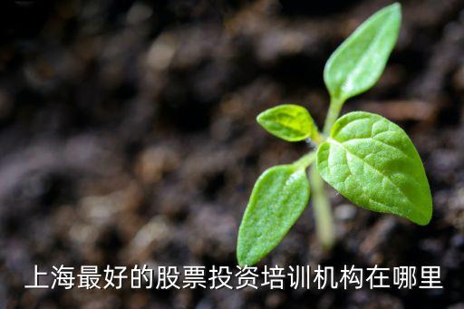  上海最好的股票投資培訓(xùn)機(jī)構(gòu)在哪里