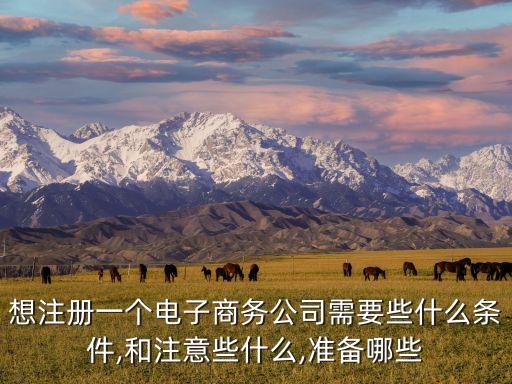 想注冊一個電子商務(wù)公司需要些什么條件,和注意些什么,準備哪些