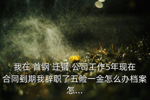 我在 首鋼 遷鋼 公司工作5年現在合同到期我辭職了五險一金怎么辦檔案怎...